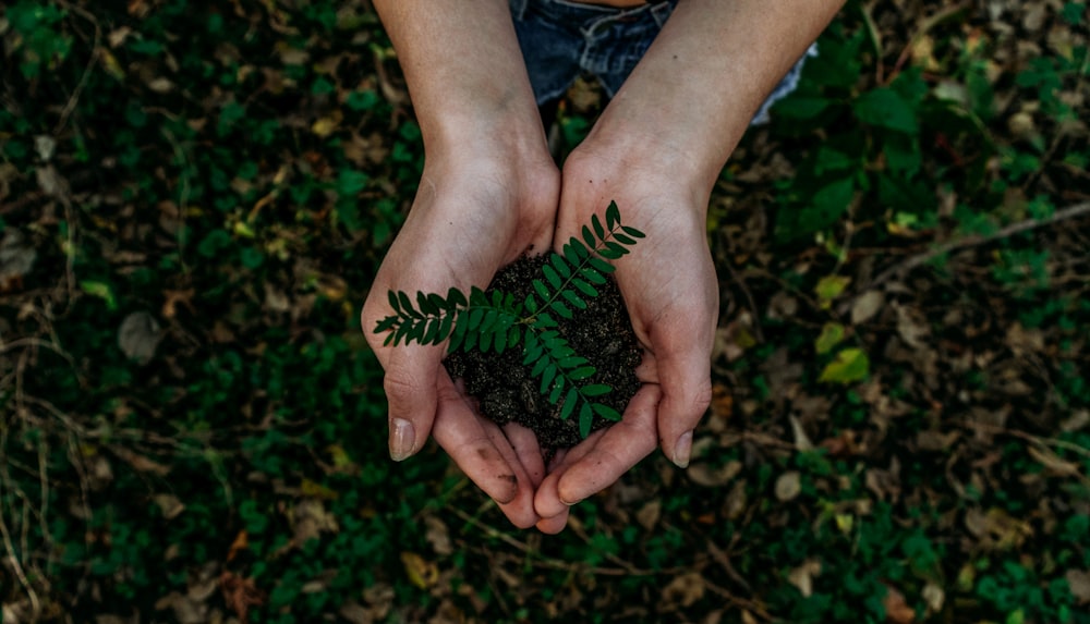 ARTOTEL Group Launches Sustainable Hospitality Initiative Across All Properties